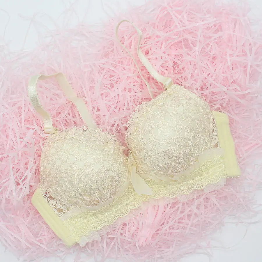New Bra Woman Underwear Push Up Bra Lingerie Unlined Lace Bra Women Sexy Female Back Closure Lolita Brassiere 3/4 Cup Bra