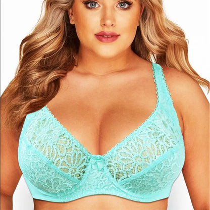 Plus Size Bras For Womens Lace Sexy Bra Perspective Underwire Female Lingerie BH Tops C D DD E F Cup